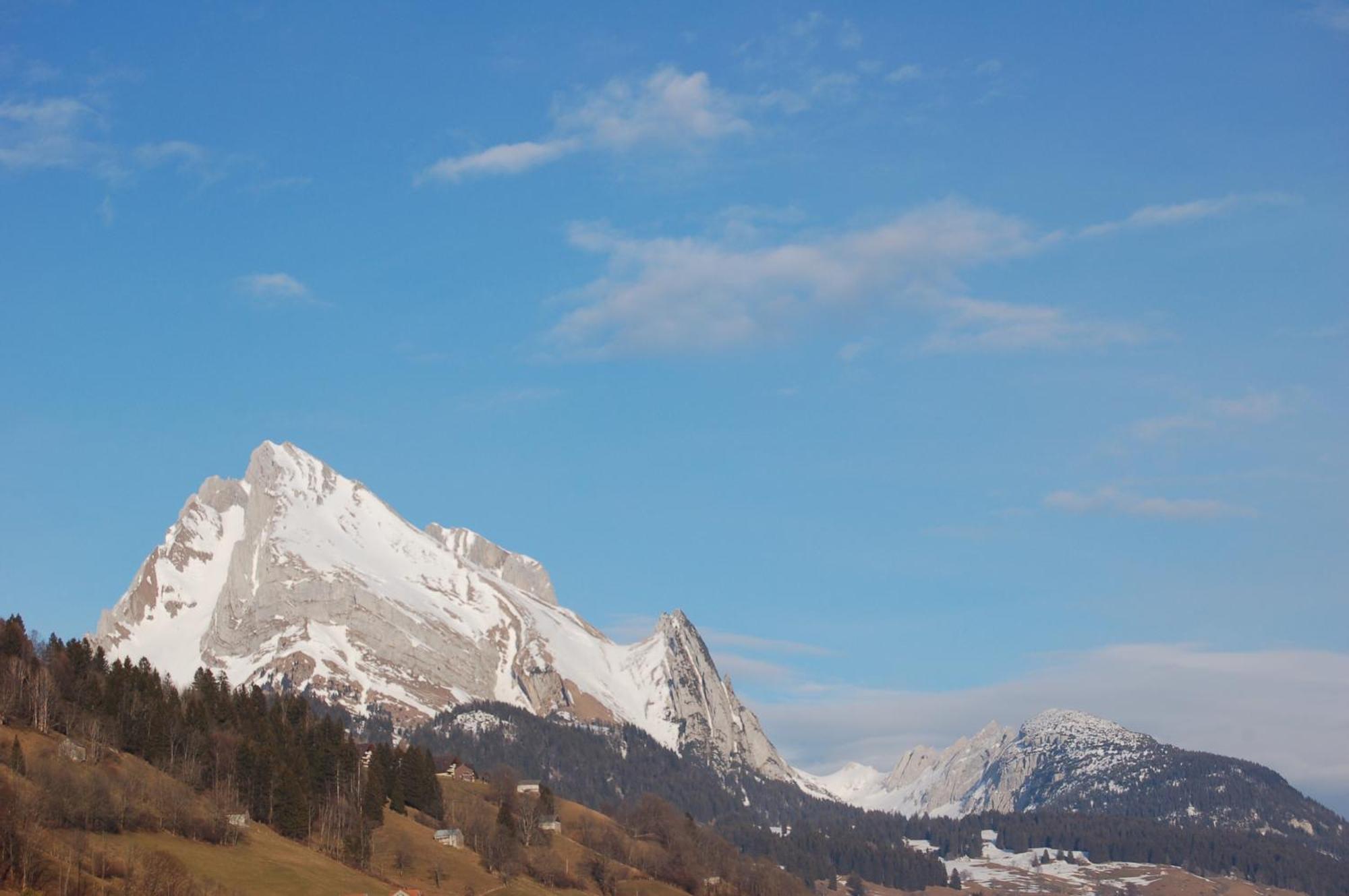 Locanda Schaefli