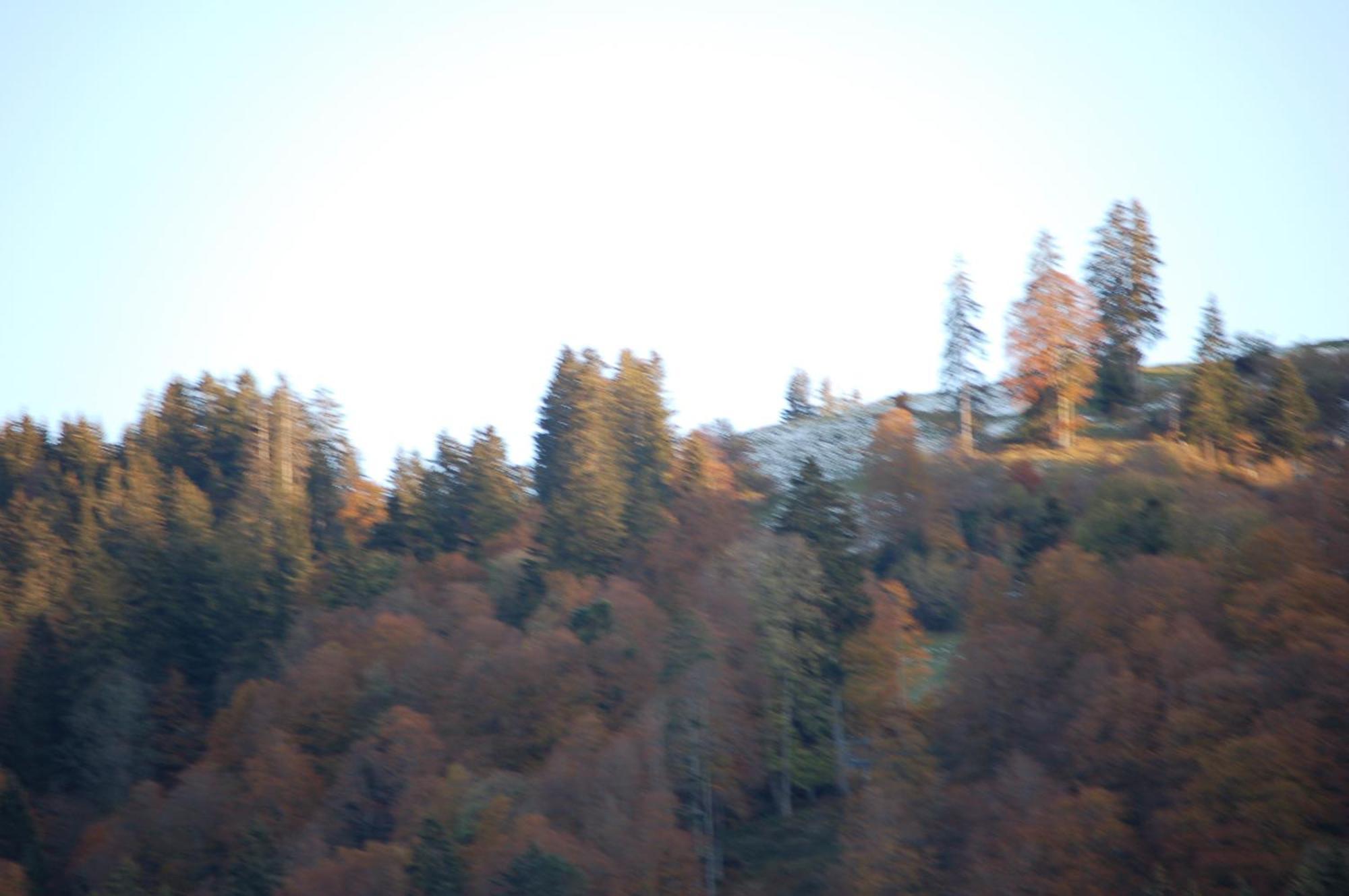 Schaefli 2* Alt St. Johann