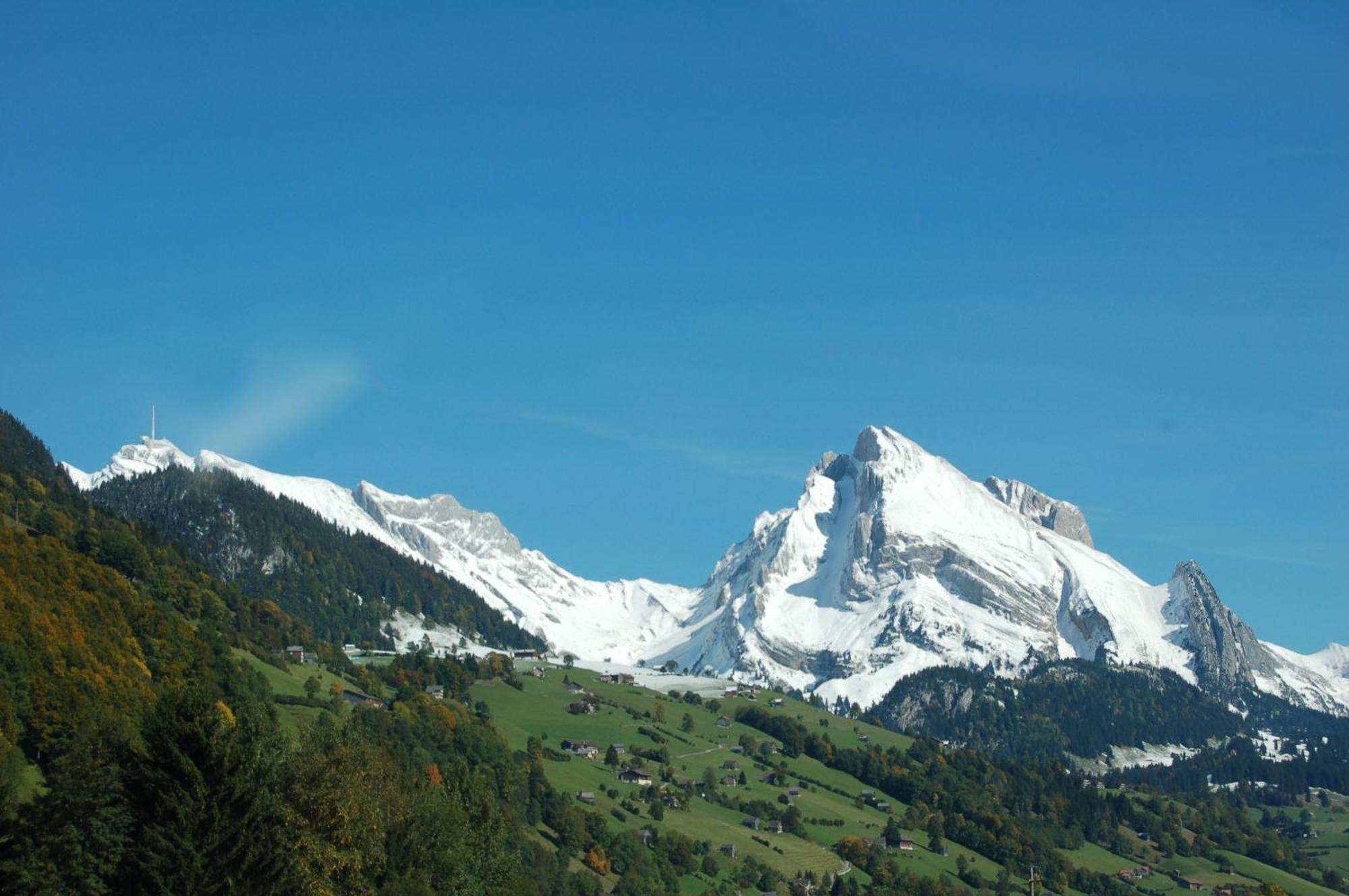 Schaefli 2*
